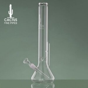 bong-cactus-